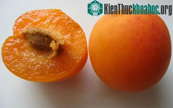 Những phép lai thực vật kỳ lạ