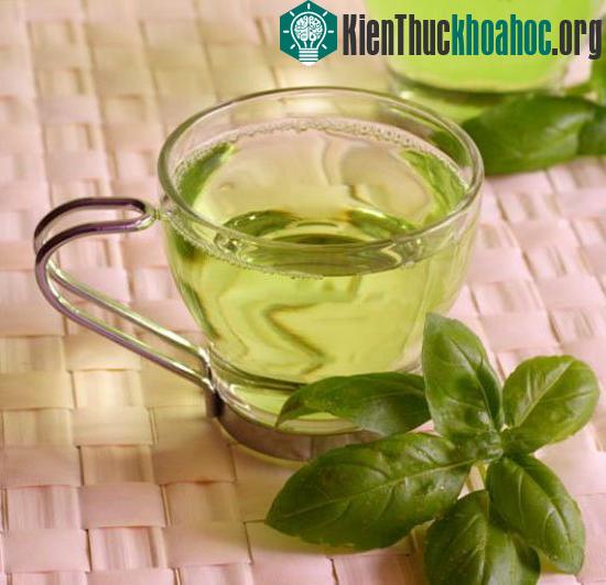 Lá trà và những bí mật ít được nhắc đến