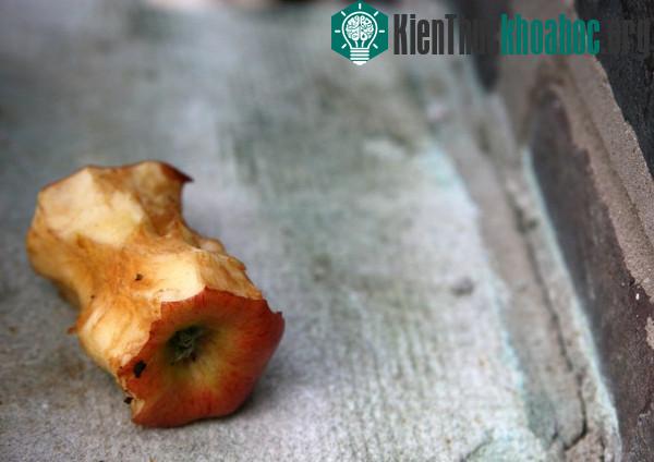 Một quả táo nâu không làm nên vấn đề nhưng hàng triệu quả thì có.