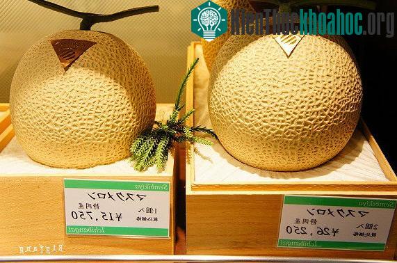 10 loại quả siêu đắt trên thế giới ảnh 2