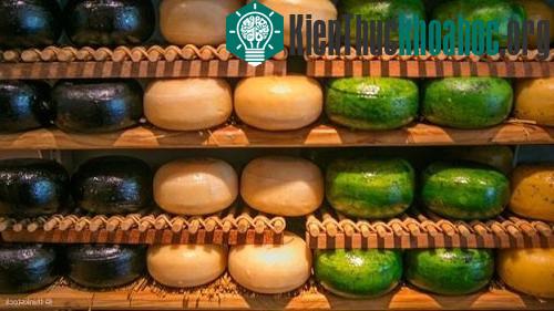 Phomát Limburger là nơi trú ngụ của những vi khuẩn gây mùi hôi chân. (Ảnh: Thinkstock)