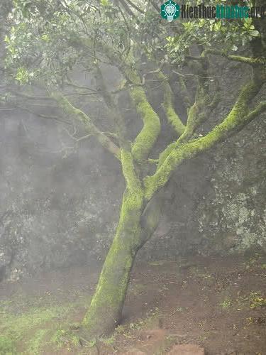Những điều kỳ thú trong tự nhiên