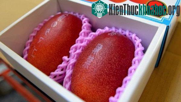 10 loại quả siêu đắt trên thế giới ảnh 3