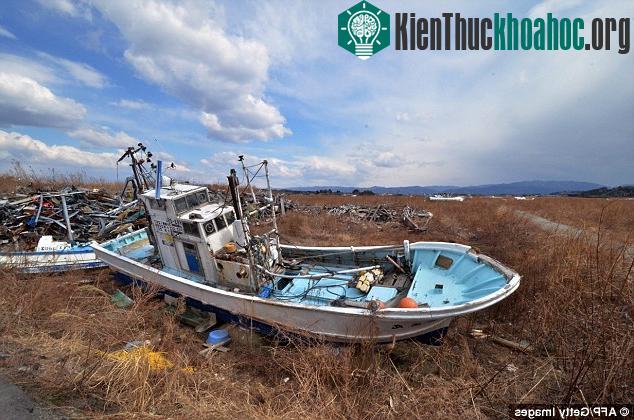 4 năm sau vụ thảm họa Fukushima, khu vực xung quanh vẫn đang được cách ly và không có ai sinh sống.