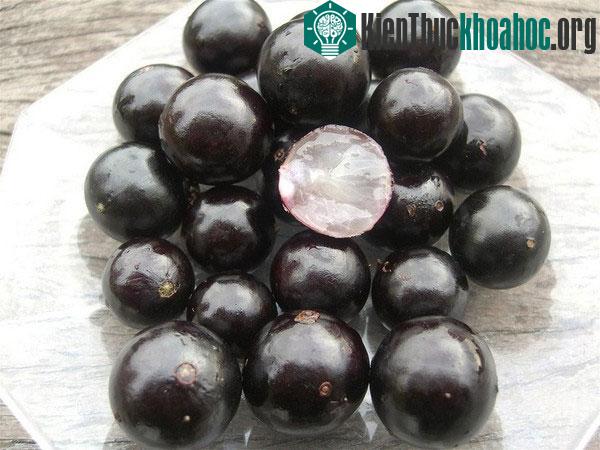 Các loại hoa quả mùa hè "hiếm có khó tìm"