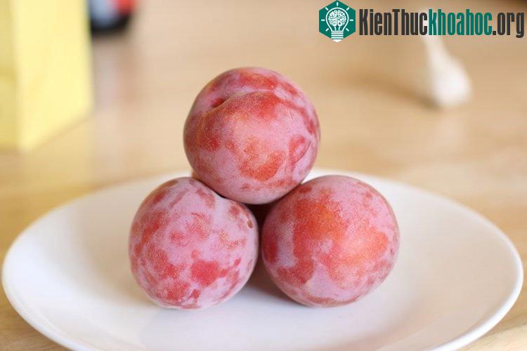 Peacotum, quả lai giữa đào, mận và mơ. Quả mang vị đào nhưng có hình dáng pha trộn giữa mận và mơ.