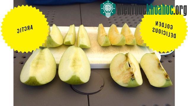 Nếu không hóa nâu, táo trông sẽ bắt mắt hơn hẳn.