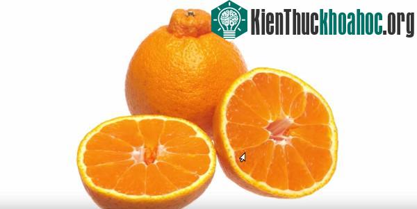 10 loại quả siêu đắt trên thế giới ảnh 6