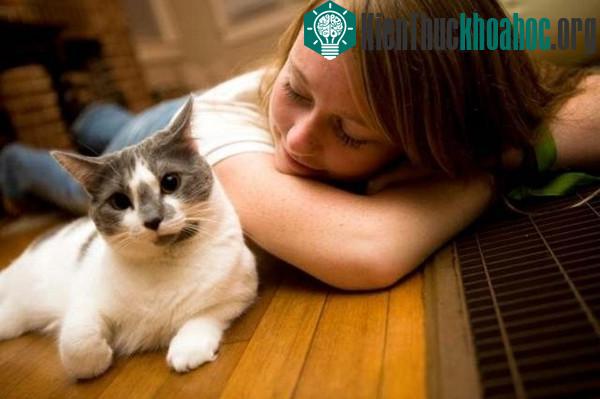 Các loài ký sinh trùng thích làm tổ và ăn não con người