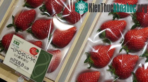 10 loại quả siêu đắt trên thế giới ảnh 8