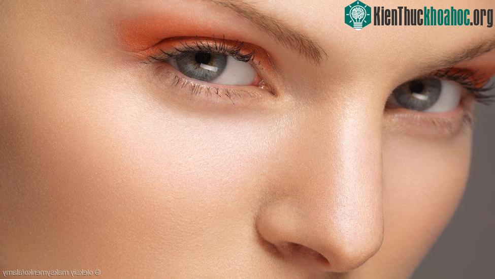 Rận Demodex "like" mặt người