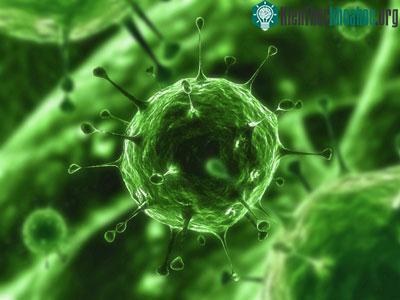 <i>“Nhuộm màu”</i> virus để theo dõi chúng trong cơ thể ảnh 0