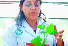 Nữ tiến sỹ Beatriz Cázares