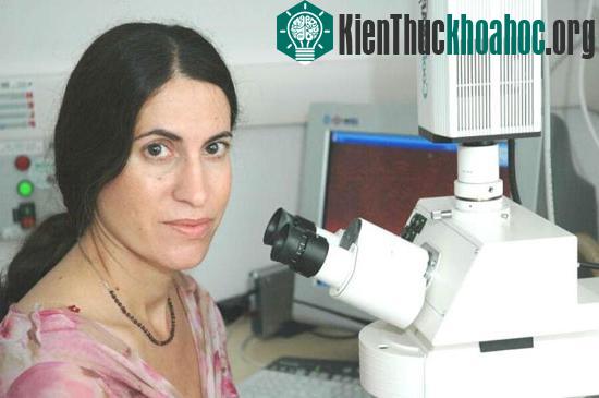 Giáo sư Sigal Ben-Yehuda
