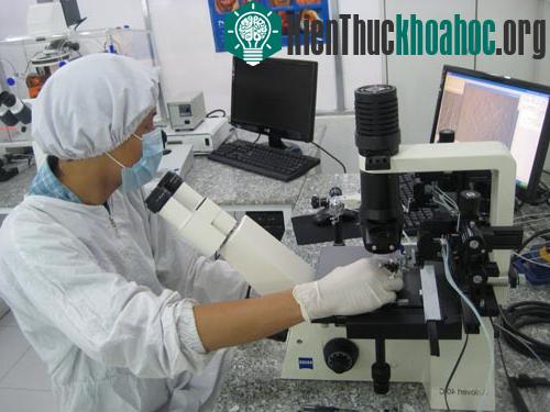 Tạo ngọc trai trong phòng thí nghiệm ảnh 0