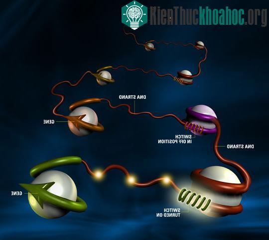 Vai trò to lớn của công nghệ tổ hợp gen nhân tạo ảnh 0