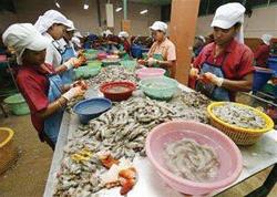 Vỏ tôm không phải là rác ảnh 0