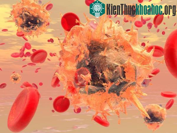 Tế bào máu trắng di chuyển giống như động vật nhiều chân ảnh 0