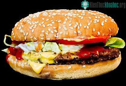Chúng ta có thể ăn thịt mà không cần giết mổ động vật