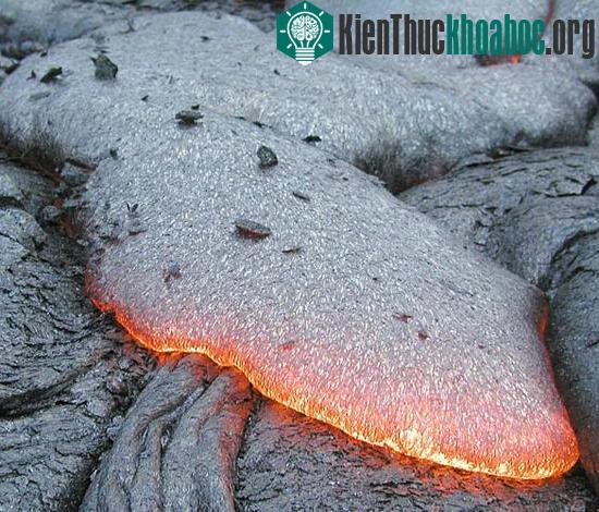 Sinh vật phù du phát triển mạnh nhờ núi lửa ảnh 1