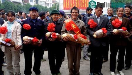 Củ từ nặng 38kg ảnh 1
