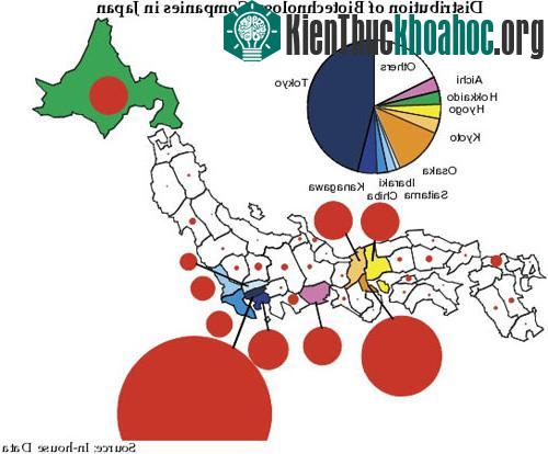 Công nghệ sinh học ở Nhật Bản ảnh 2