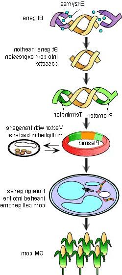 Thực trạng ngành công nghệ sinh học Trung Quốc ảnh 3