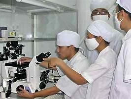 Nhóm nghiên cứu thảo luận và đánh giá, phân loại trứng bò sữa bằng kính hiển vi đảo ngược.