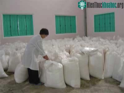 Các bao đường maltooligosacarit
