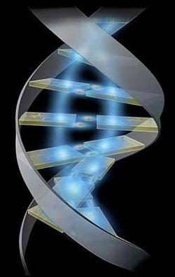 Personalized medicine (Ảnh: thewellnessdoctor)
