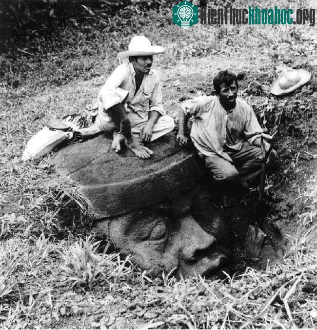 Một đầu đá Olmec được phát hiện.