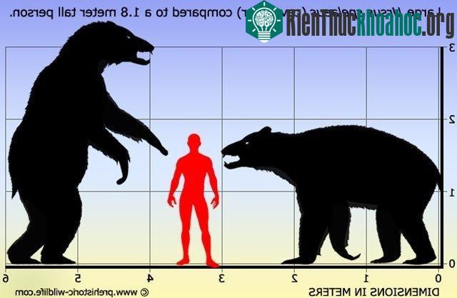 Một trong số loài thú đáng sợ nhất thời tiền sử đã tuyệt chủng vì ăn rau ảnh 0