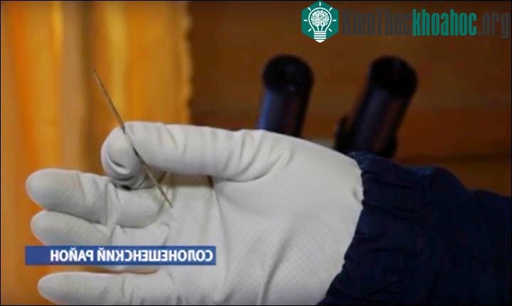 Tìm thấy kim khâu tự chế 50.000 tuổi vẫn dùng tốt ảnh 0