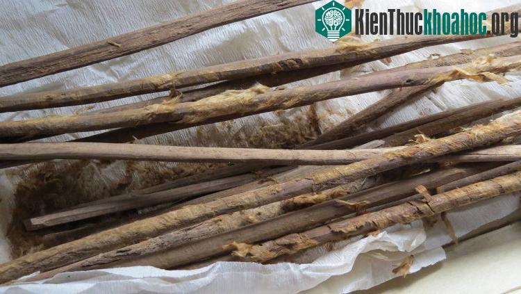 Que vệ sinh cá nhân được sử dụng khi mà người ta chưa có giấy vệ sinh.
