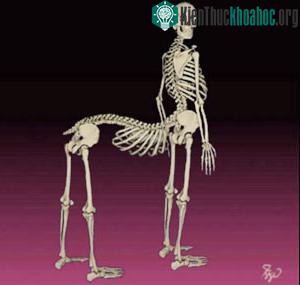 Anh: Nỗi sợ “nửa người nửa thú” ảnh 1