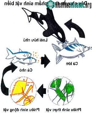 Hàng ngàn hóa chất cần được đánh giá lại về độc tính ảnh 1
