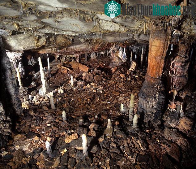 Hang La Garma ở phía bắc Tây Ban Nha. (Ảnh: Mogaz News).