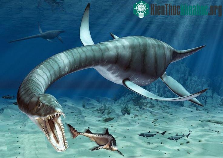 Loài xà đầu long cổ đại. (Ảnh: Science).