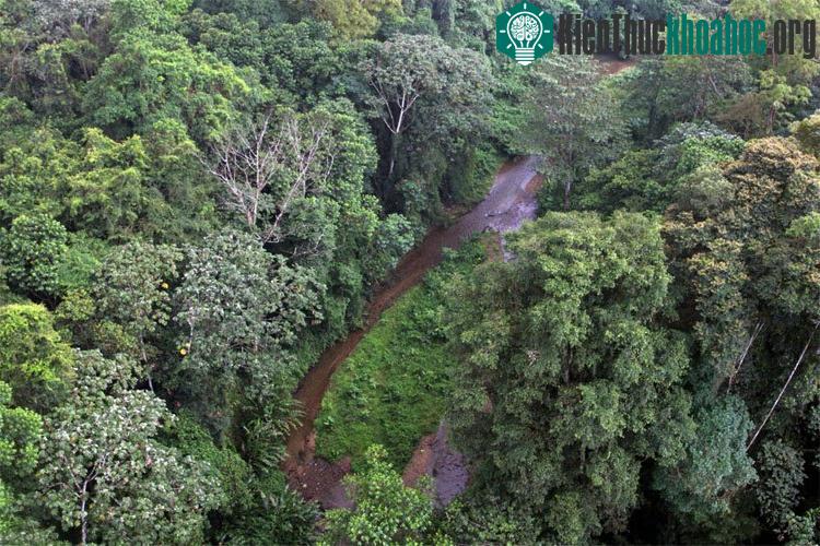 Thành phố Trắng nằm ở La Mosquitia, Honduras. (Ảnh: Orlando Sierra).
