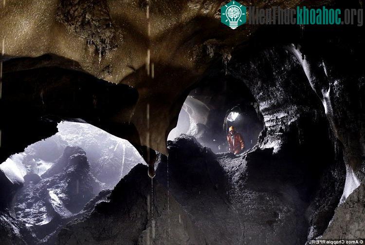 Họ sục sạo ở vùng Siberia xa xôi, lẩn trốn cảnh sát, khoan sâu vào các tảng băng hàng triệu năm tuổi để tìm kiếm xác động vật hóa thạch thời tiền sử.