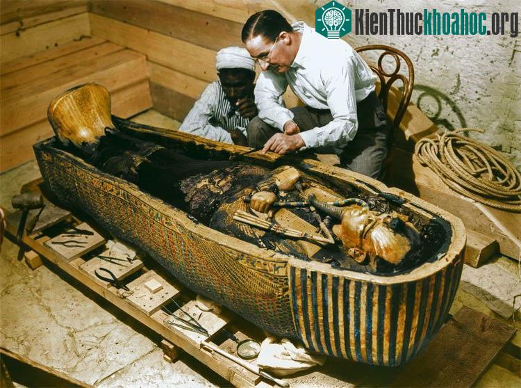 Ông cùng một công nhân khác đang quan sát bên trong quan quách vàng đúc của Tutankhamun.