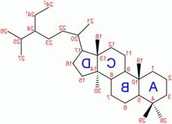 Steroid