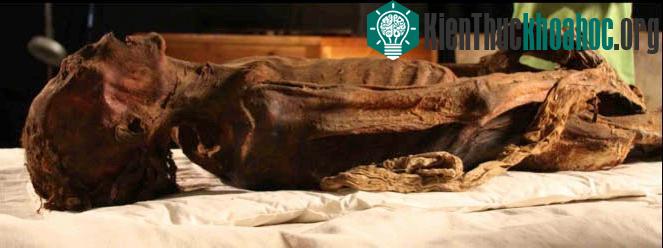 Nhiều khả năng xác ướp la hét bị nguyền rủa phải sống vĩnh viễn dưới địa ngục.