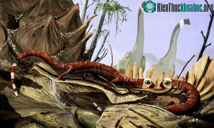 phía xa là hai con khủng long chân thằn lằn Sauropoda thuộc nhóm động vật có kích thước lớn nhất từng sống trên cạn.