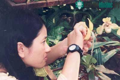 Thụ phấn cho Hài Hằng