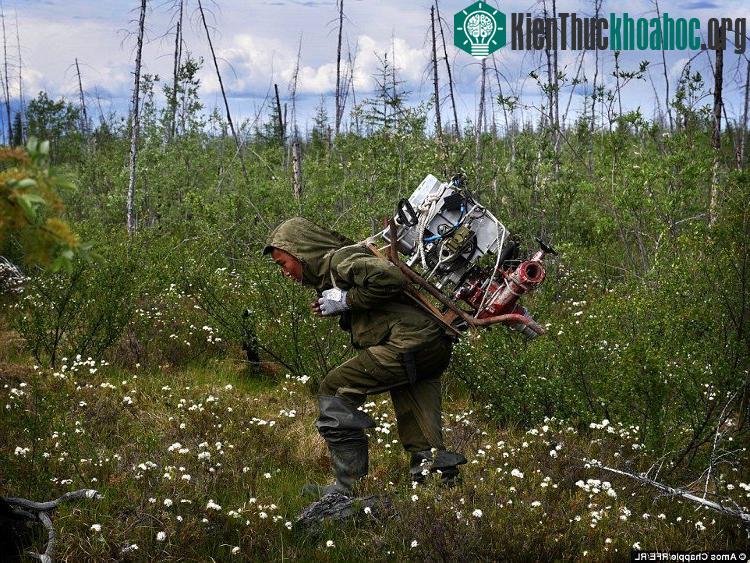 Nhiếp ảnh gia Chapple đã trả tiền cho một nhóm săn trộm ở Siberia để vào khu vực có nhiều hóa thạch voi ma mút.