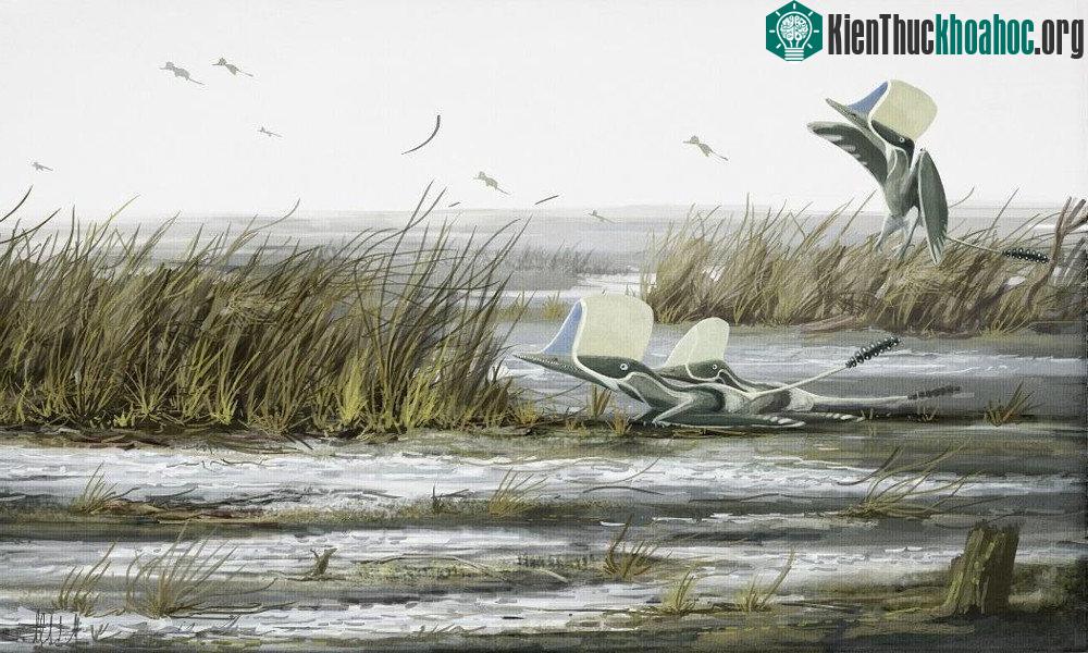 Một bầy Pterosauria - Dực long hay Thằn lằn có cánh, đang vật lộn chống lại cơn gió to.