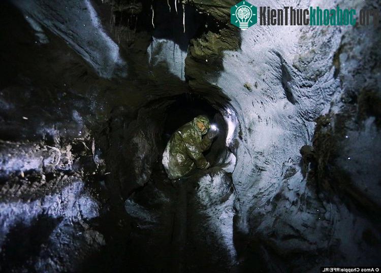Nhiều tay săn trộm có súng bắn đạn ghém hoặc pháo sáng để xua đuổi gấu. "