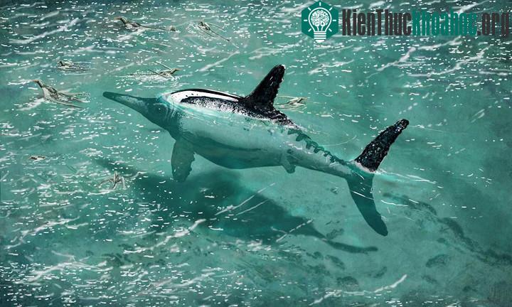 Một con thằn lằn cá Opthalmosaurus đang bơi trong vùng nước nông