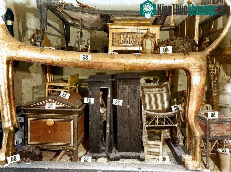 Bên dưới chiếc giường sư tử trong phòng là một vài chiếc hộp và rương